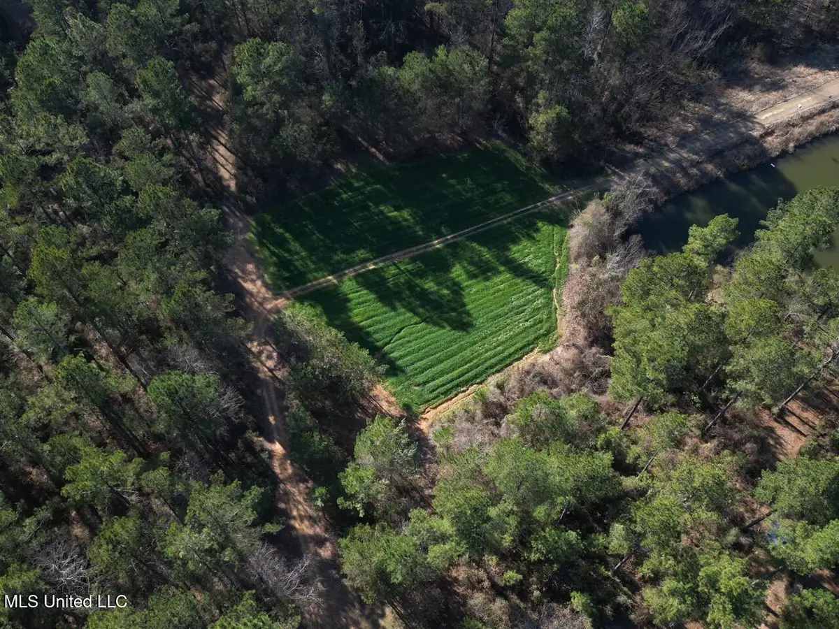 2015 Forest Road, Hazlehurst, MS 39083 - #1