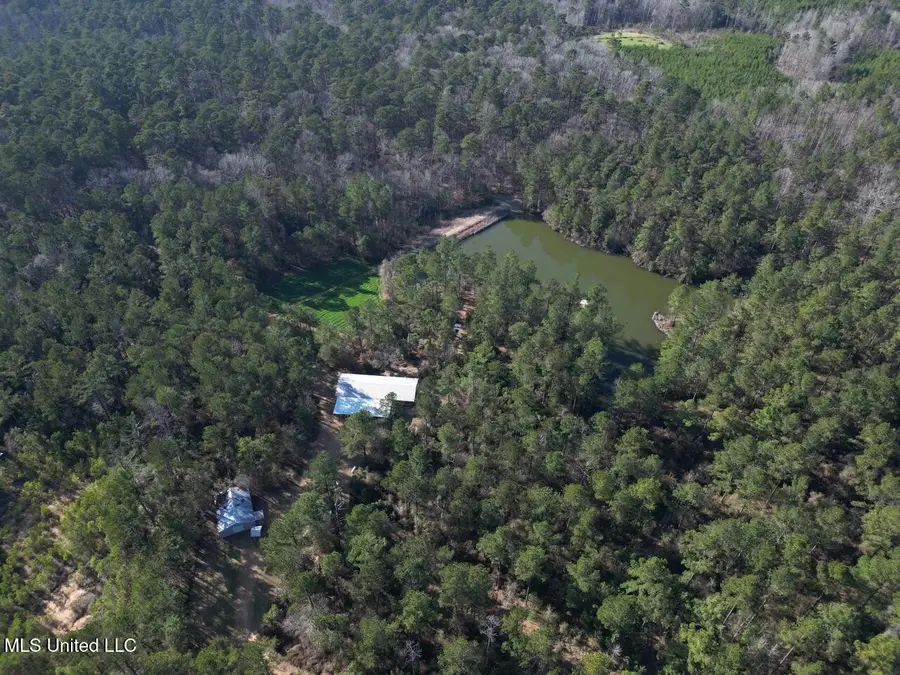 2015 Forest Road, Hazlehurst, MS 39083 - #3