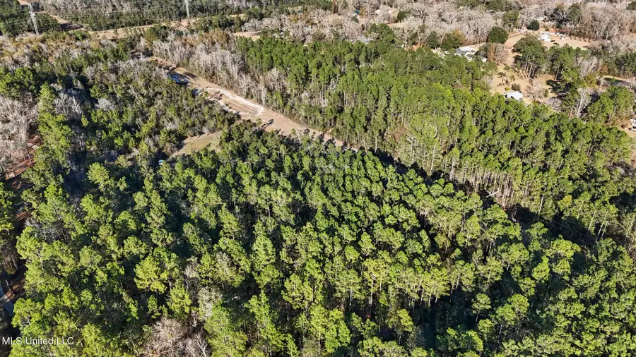 Bert Dedeaux/henry Harley Road, Saucier, MS 39574 - #2