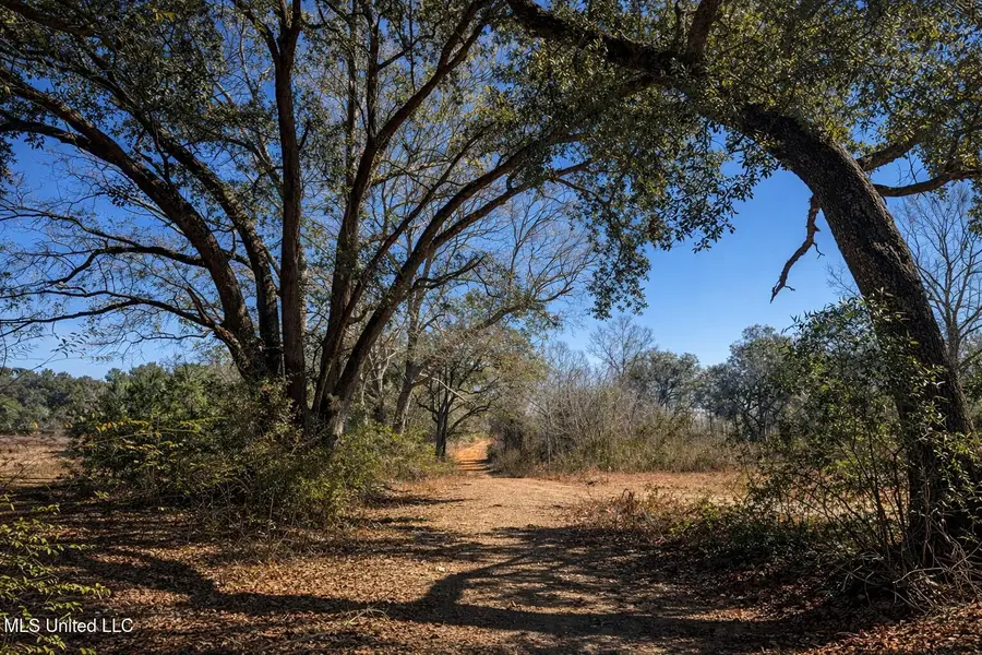 5 Standard Cemetery Road, Kiln, MS 39556 - #2