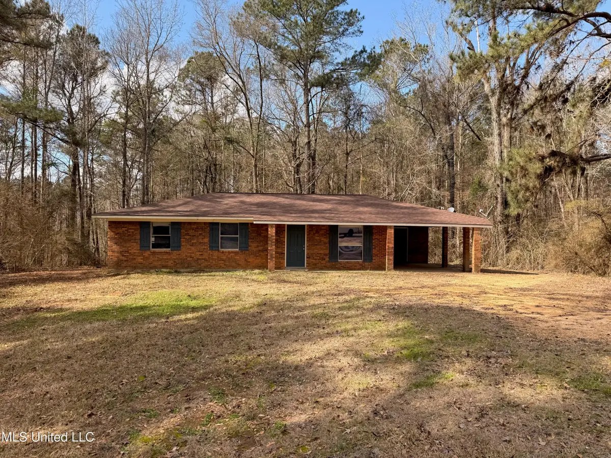 4142 Linfrank Line Drive, Smithdale, MS 39664 - #1