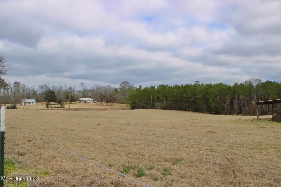 3010 Plantation Lane, Liberty, MS 39645 - #2