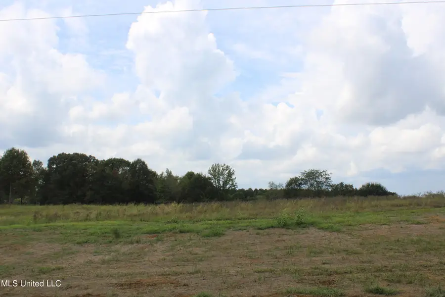5077 Old Barn Cove, Hernando, MS 38632 - #3