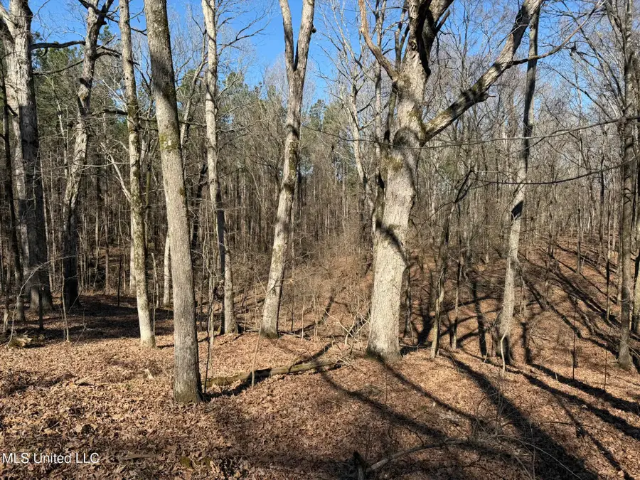 Mcmillan Drive, Holly Springs, MS 38635 - #2