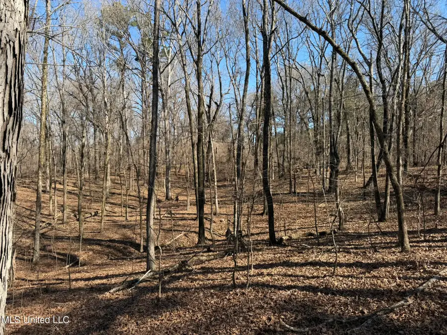 Mcmillan Drive, Holly Springs, MS 38635 - #3