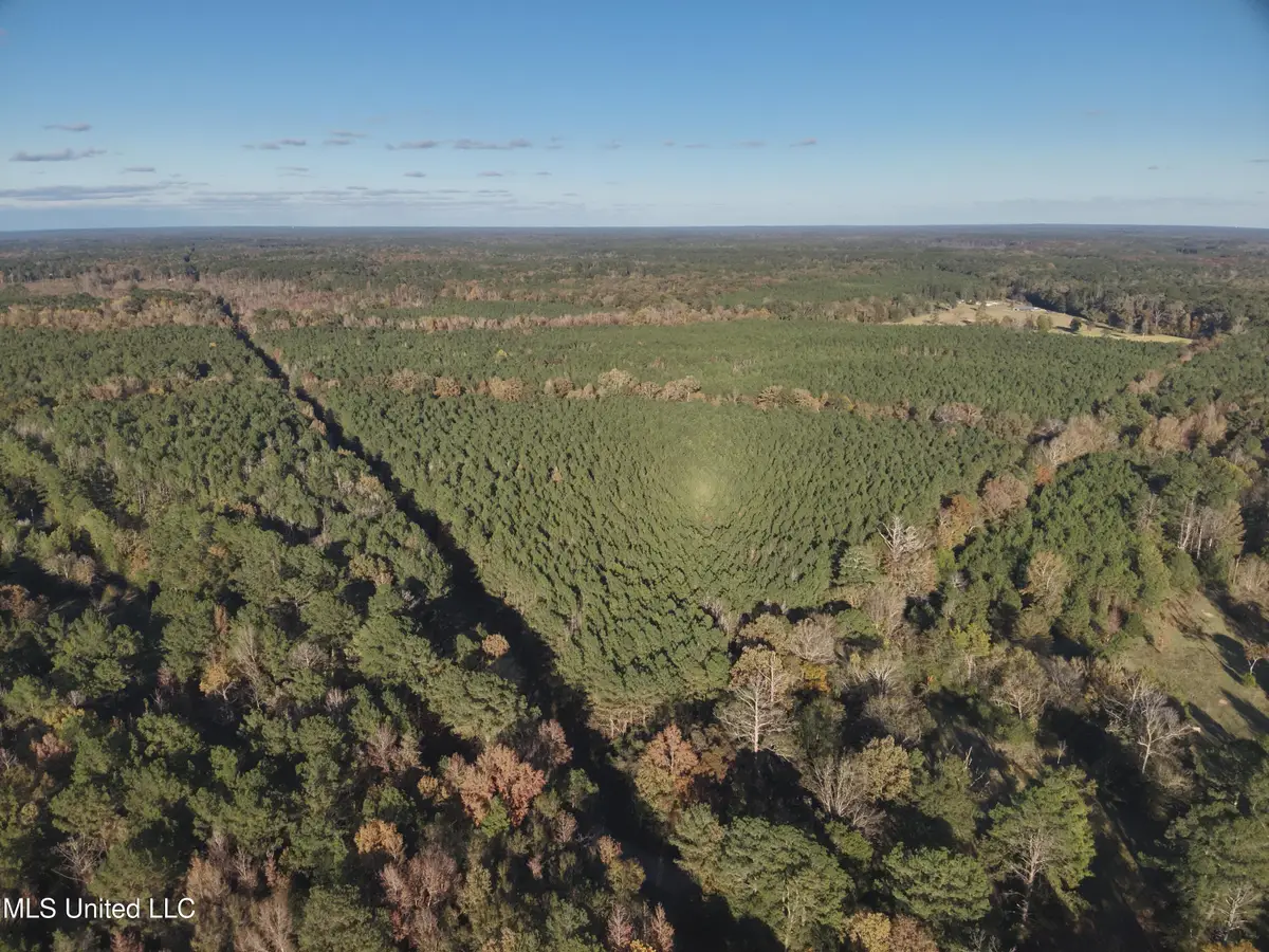 Lot 3 Whiddon Road, Canton, MS 39046 - #1