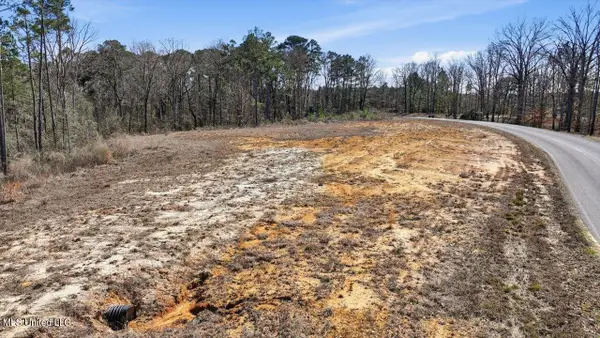 398 Wire Road, Pelahatchie, MS 39145