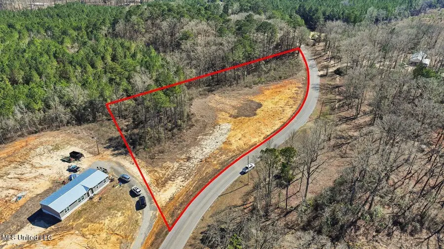 398 Wire Road, Pelahatchie, MS 39145 - #2