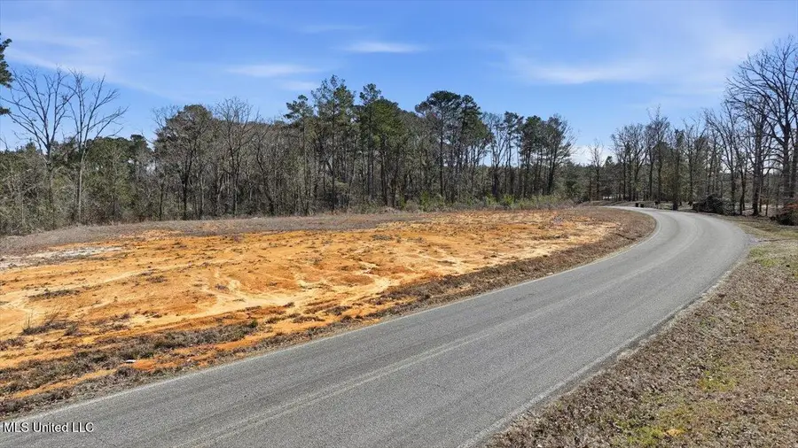 398 Wire Road, Pelahatchie, MS 39145 - #3