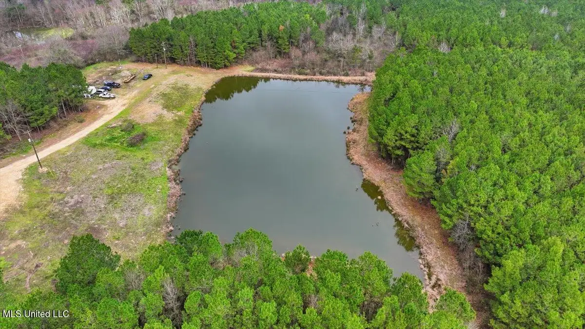 4603 Mississippi 28, Mize, MS 39116 - #1