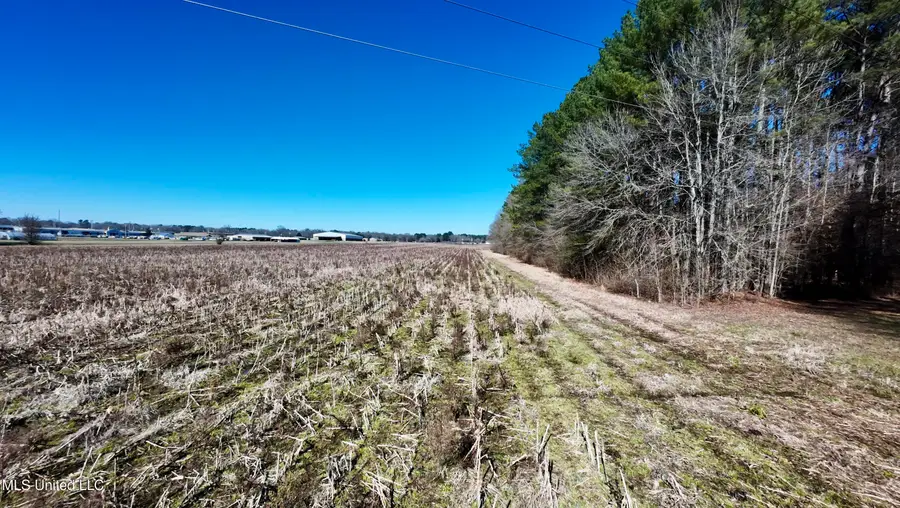 01 E Main Street, Carthage, MS 39051 - #3