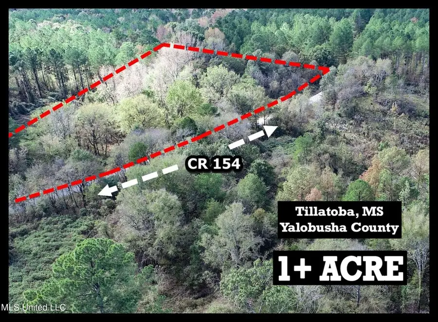 Tbd County Road 154, Tillatoba, MS 38961 - #2