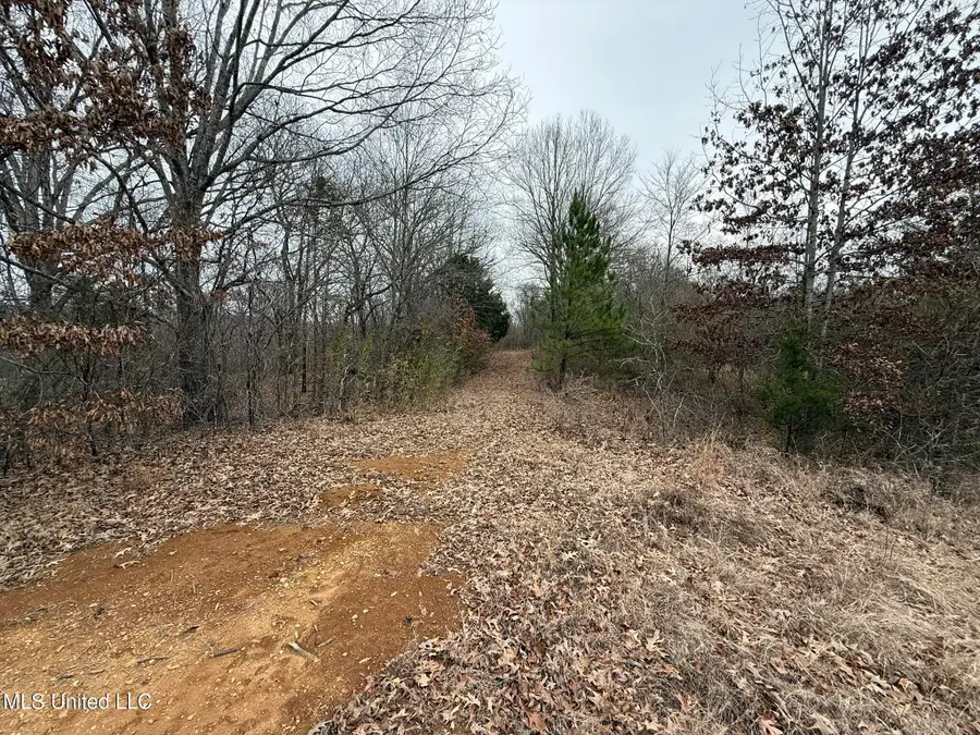 15 Polk Lane, Olive Branch, MS 38654 - #2