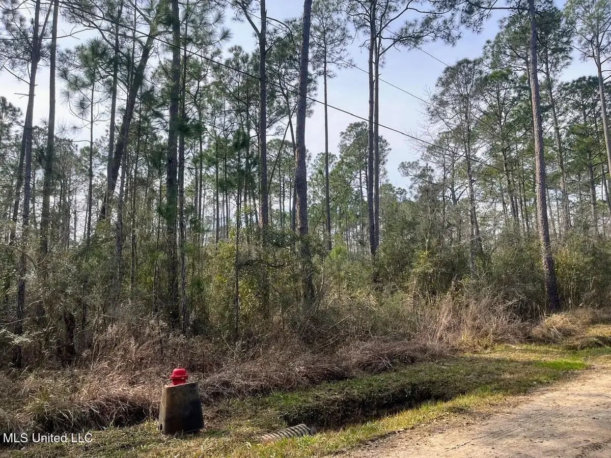 5039 Fig Drive, Waveland, MS 39576 - #1