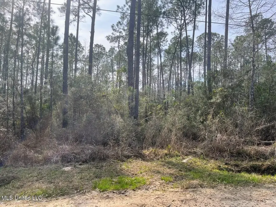 5039 Fig Drive, Waveland, MS 39576 - #3