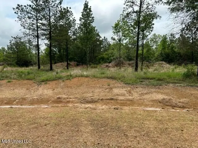 Bent Creek, Picayune, MS 39466 - #1