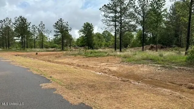 Bent Creek, Picayune, MS 39466 - #3