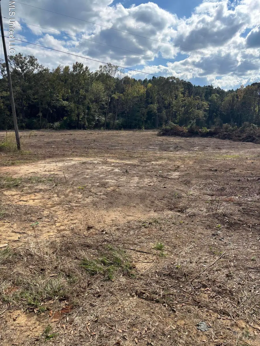 Country Lane, Philadelphia, MS 39350 - #2