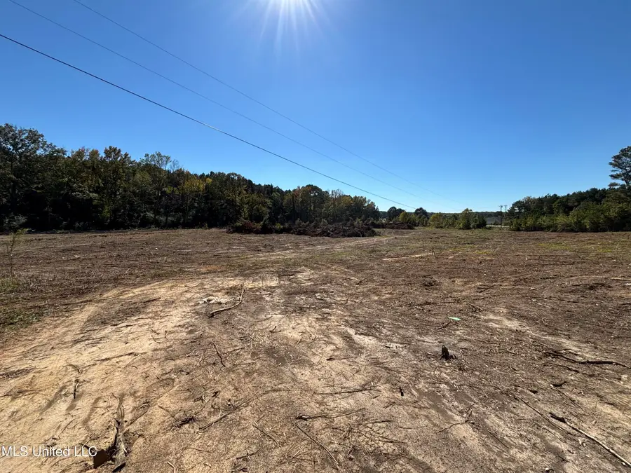 Country Lane, Philadelphia, MS 39350 - #3