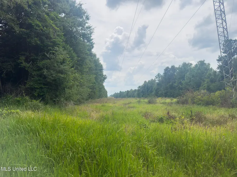 Silver Run-progress Road, Perkinston, MS 39573 - #3