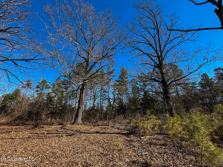 Dr Sears Road, West Point, MS 39773 - #3