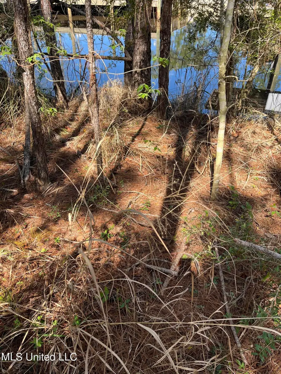 00000 Hwy 603, Bay Saint Louis, MS 39520 - #3