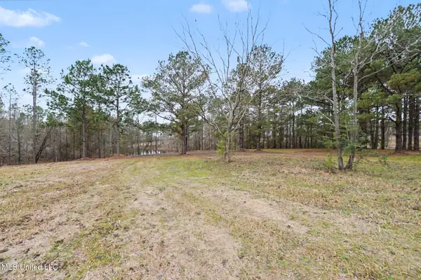 20+/-Ac Summerour Road, Lucedale, MS 39452