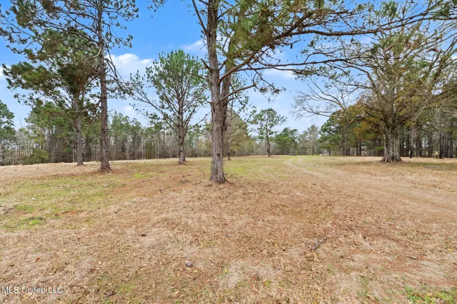 20+/-Ac Summerour Road, Lucedale, MS 39452 - #3
