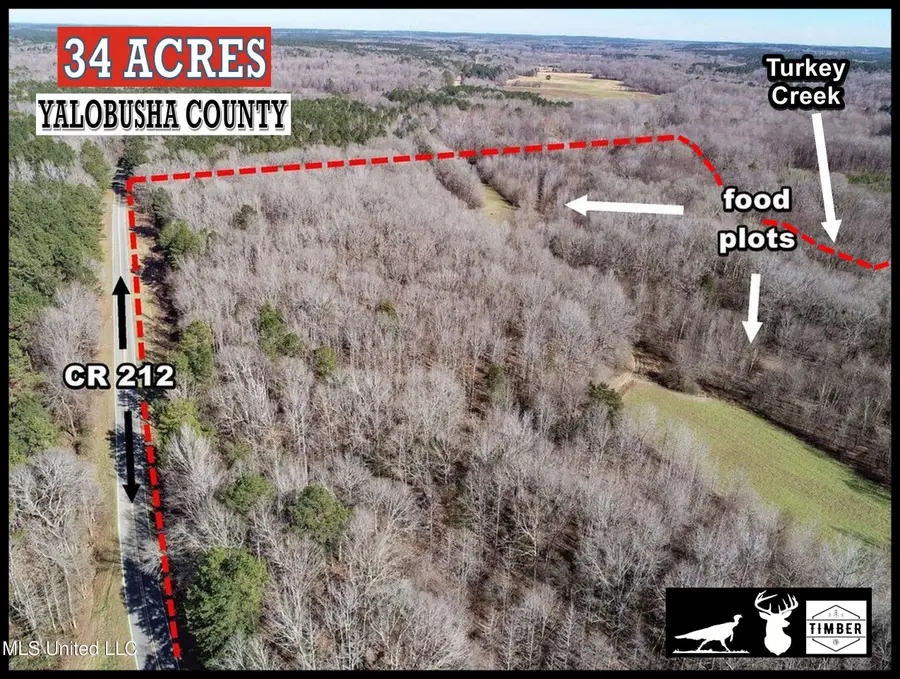 1800 County Road 212, Water Valley, MS 38965 - #2
