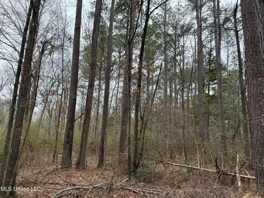 Mount Elam Church Road, Pearl, MS 39208 - #2