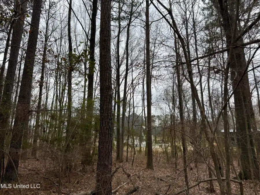 Mount Elam Church Road, Pearl, MS 39208 - #3