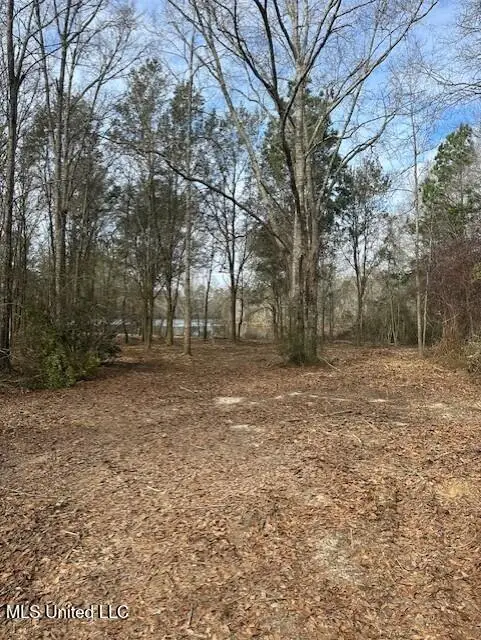 Ms 53 Lot 3, Gulfport, MS 39503 - #1