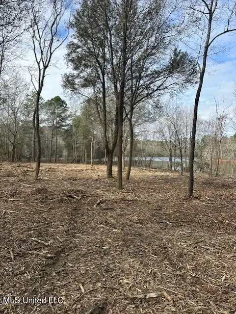 Ms 53 Lot 3, Gulfport, MS 39503 - #2