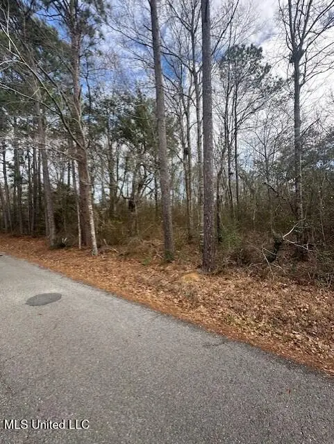 Ms 53 Lot 4, Gulfport, MS 39503 - #1