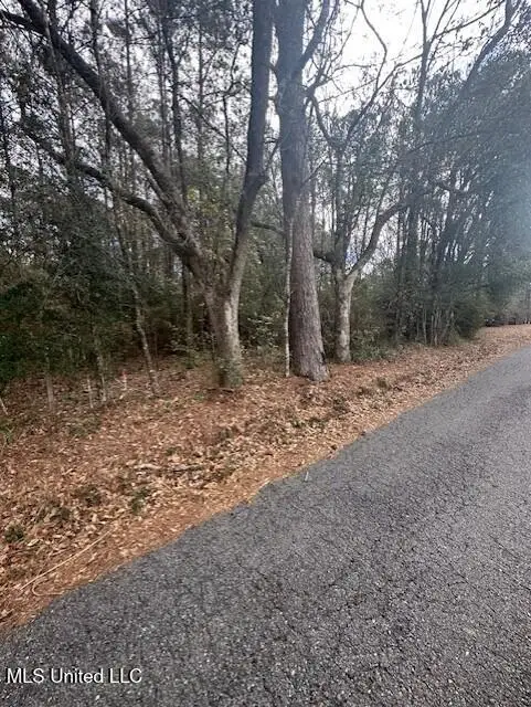 Ms 53 Lot 6, Gulfport, MS 39503 - #2