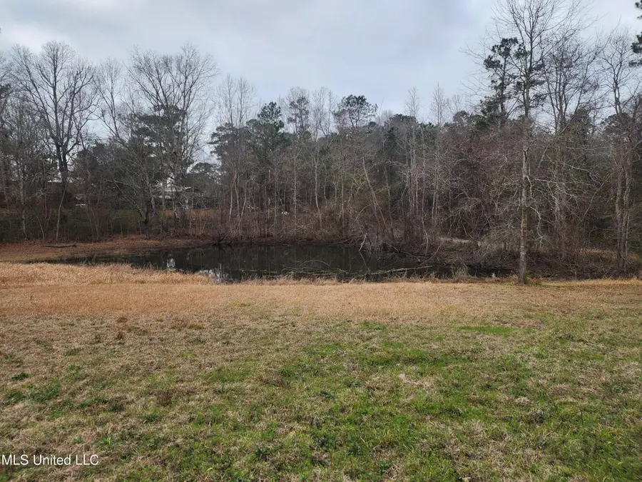 26 Charlie Daughdrill Road, Carriere, MS 39426 - #2