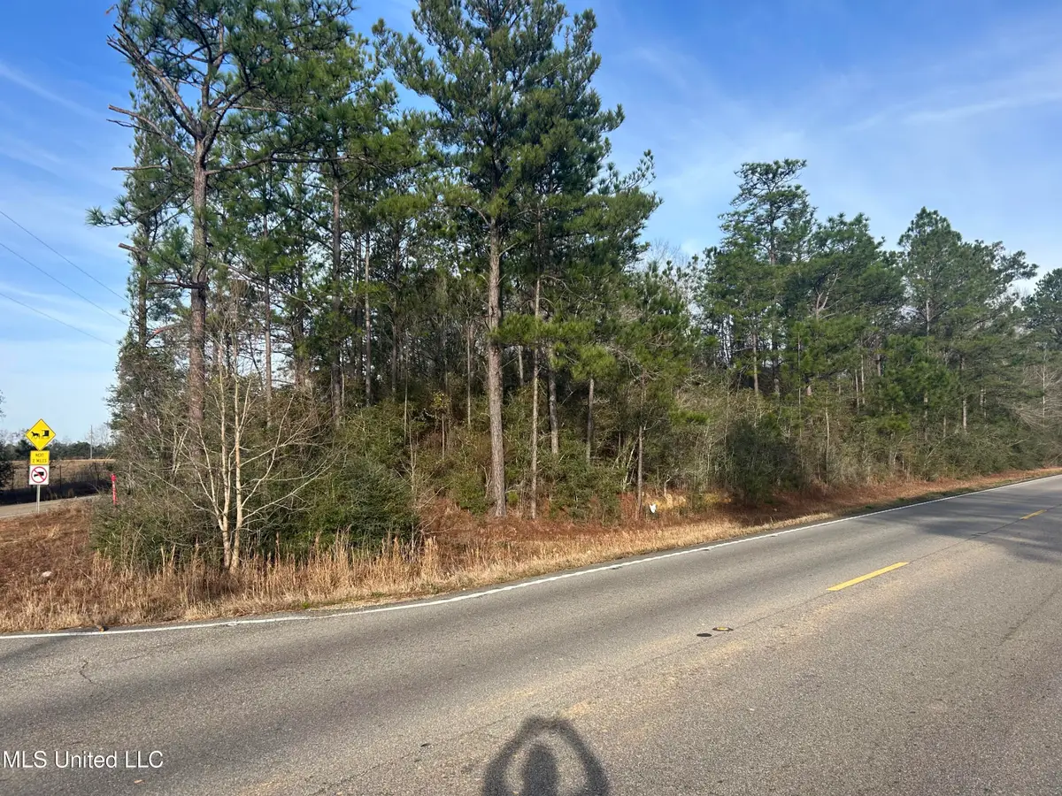 Na Firetower Road, Kiln, MS 39556 - #1