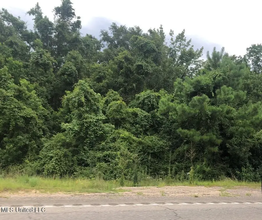 Cedar Grove Avenue, Picayune, MS 39466 - #2