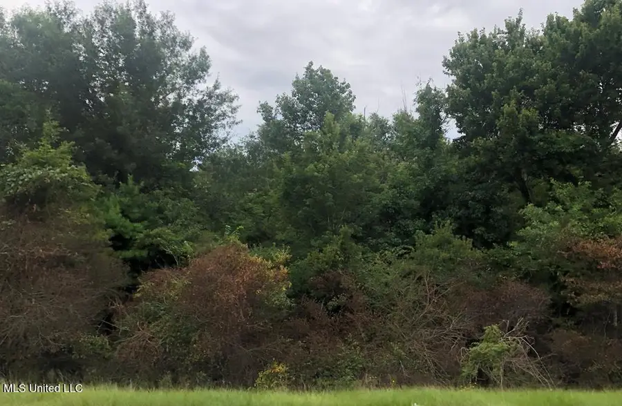 Cedar Grove Avenue, Picayune, MS 39466 - #3