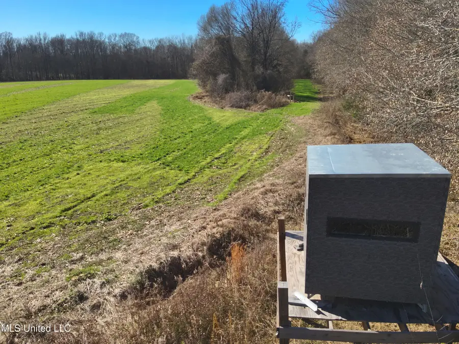 577 Black Jack Road, Vaughan, MS 39179 - #2