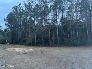 Rouses Marina Road, Vancleave, MS 39565 - #2