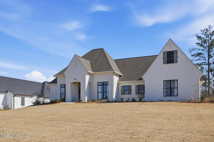 703 Ivywood Court, Madison, MS 39110 - #2