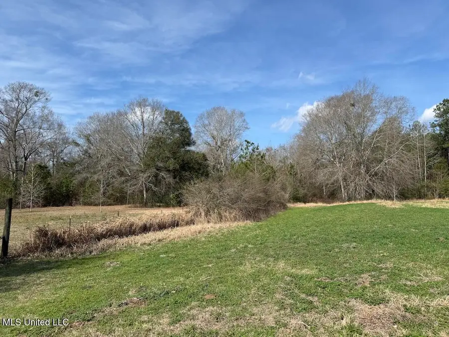 283 Hester Loop, Perkinston, MS 39573 - #2