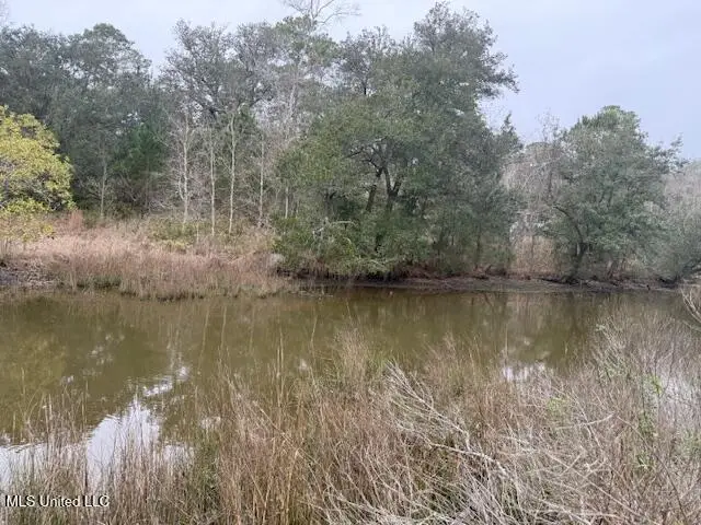 Robert Hiram Drive, Gautier, MS 39553 - #1