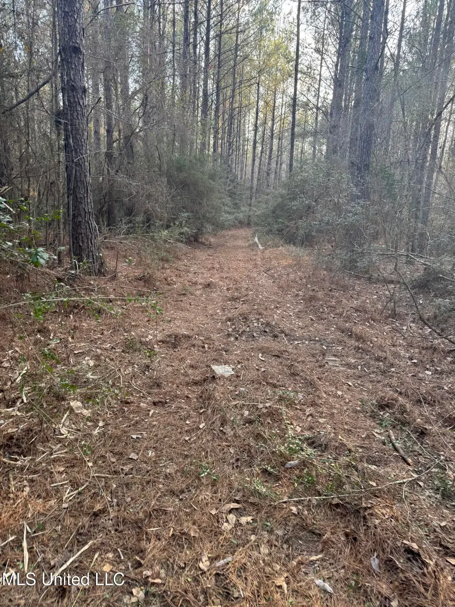 Mississippi 42, State Line, MS 39362 - #2