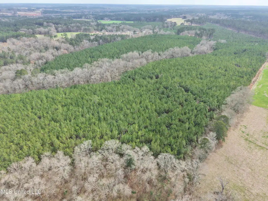 Graves Road, Carson, MS 39427 - #3