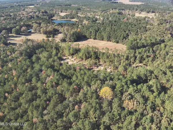 0 Barefoot Springs Road, Pelahatchie, MS 39145