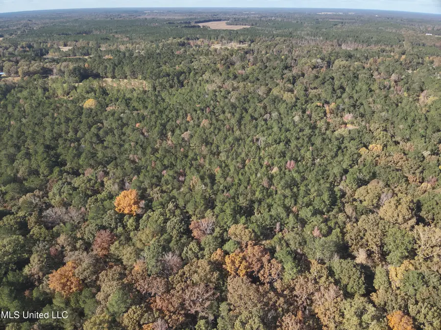 0 Barefoot Springs Road, Pelahatchie, MS 39145 - #2