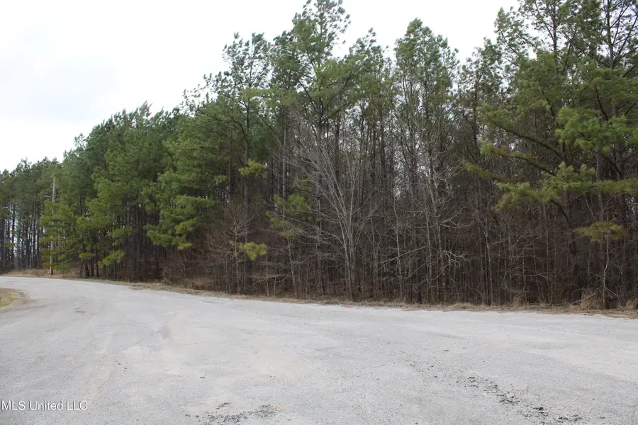 30 American Cove, Byhalia, MS 38611 - #2