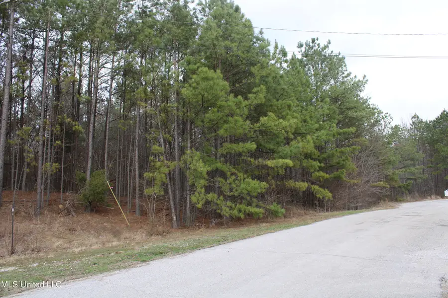 30 American Cove, Byhalia, MS 38611 - #3